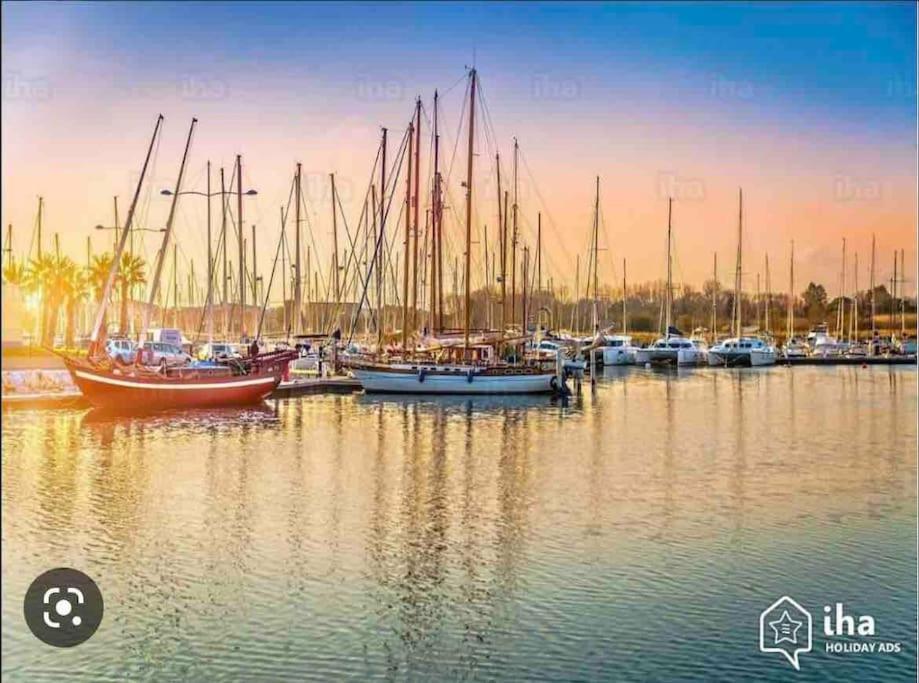 Coquet Appartement Canet-en-Roussillon Esterno foto